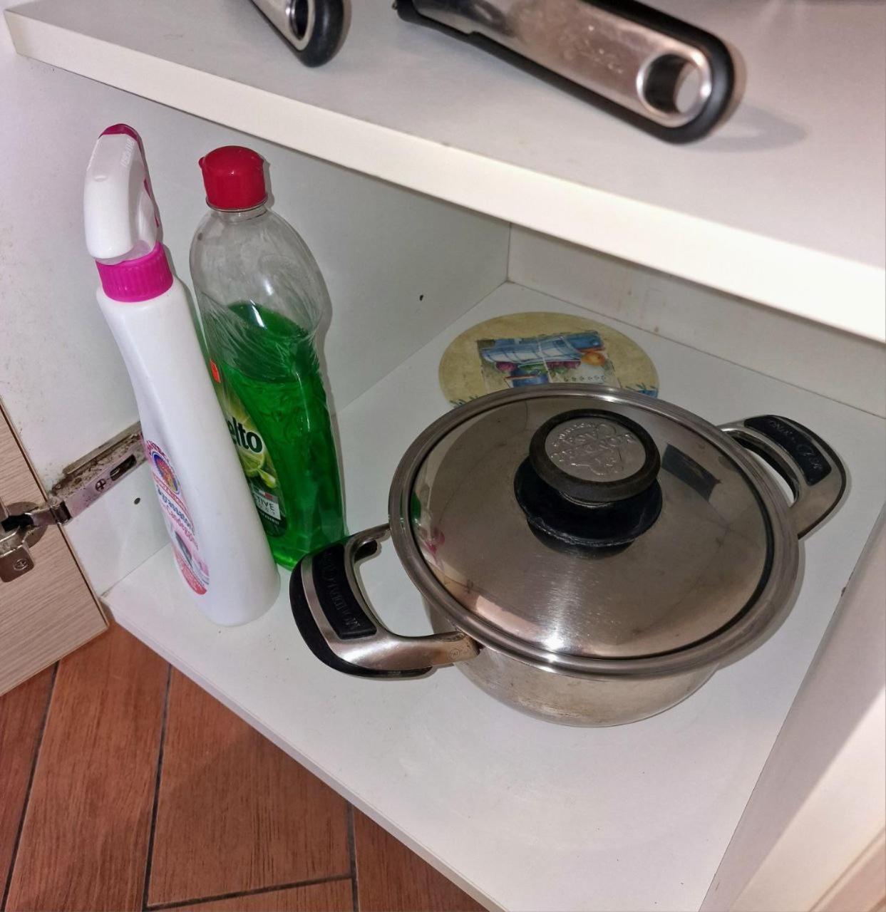 Domus Livio, 7 Min Fco Airport, Free Wifi, Garden Apartment, 2 Tv Hd Fiumicino Bagian luar foto